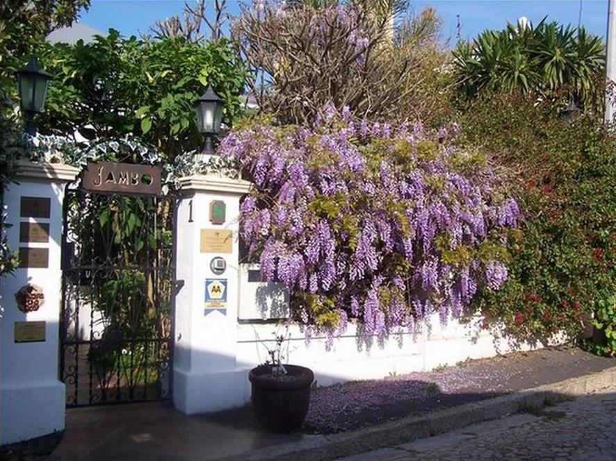 Jambo Guest House Cape Town Exterior photo