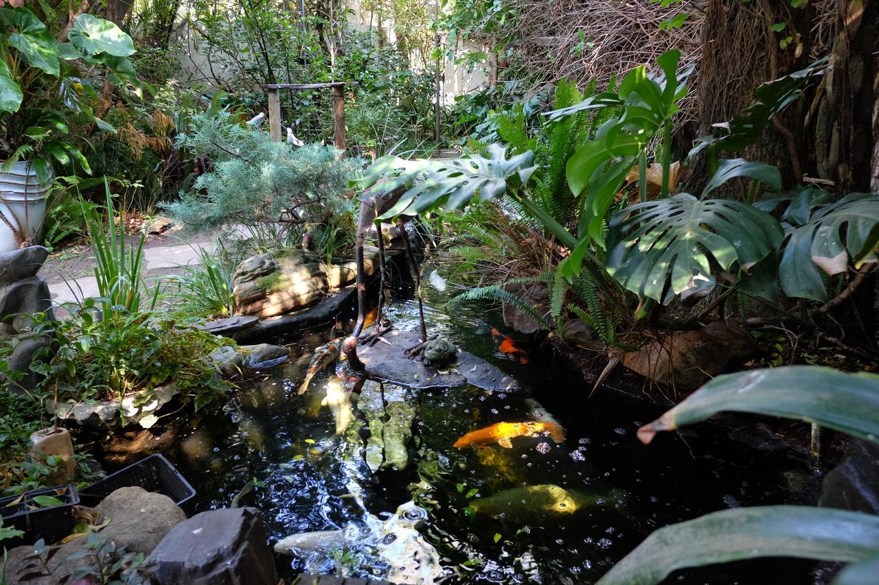 Jambo Guest House Cape Town Exterior photo